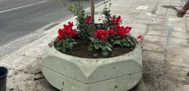 Κρούσματα κλοπών και βανδαλισμών σε φυτεύσεις 